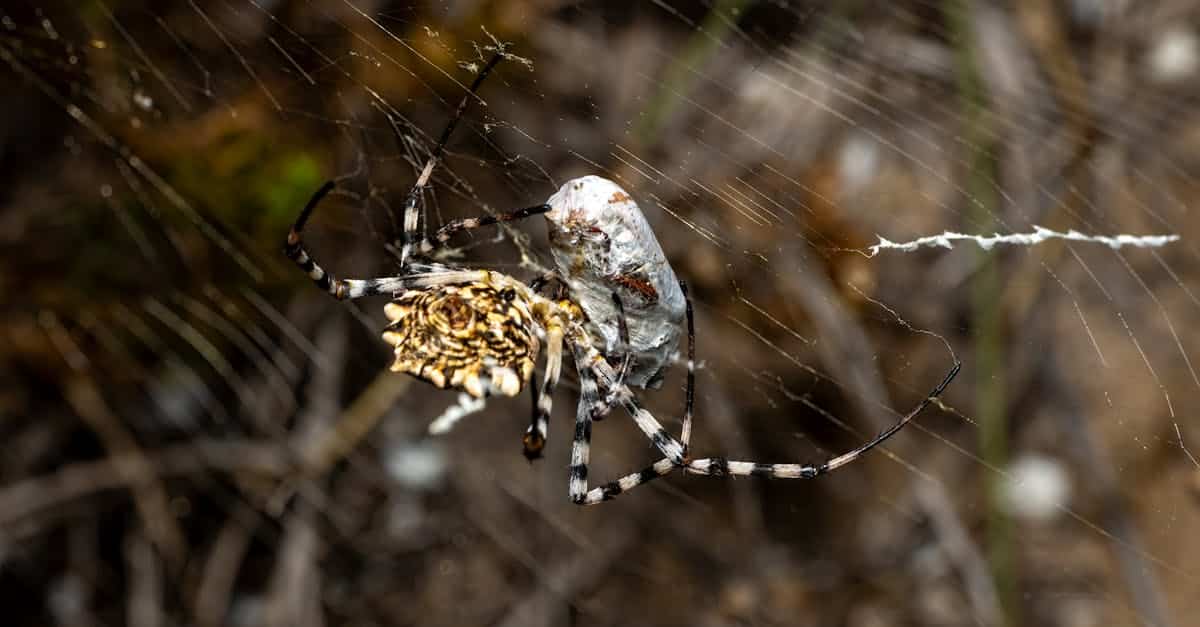 découvrez les stratégies et les meilleures pratiques pour réussir la transformation de votre entreprise vers une scale-up. apprenez comment accroître vos opérations, attirer des investisseurs et innover pour atteindre de nouveaux sommets dans votre secteur.
